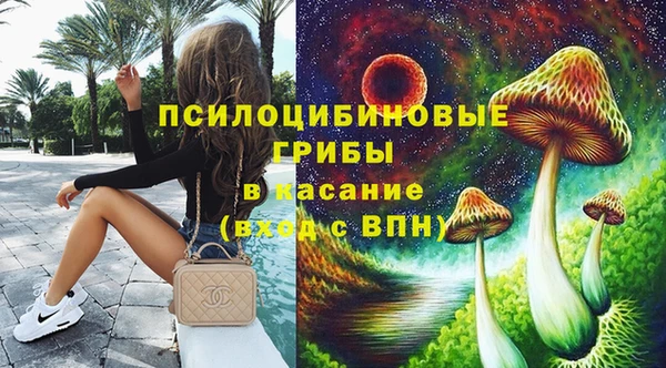 ECSTASY Вяземский